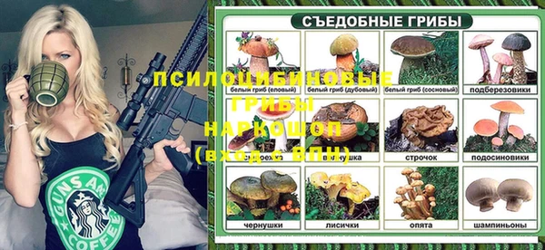 прущая мука Арсеньев