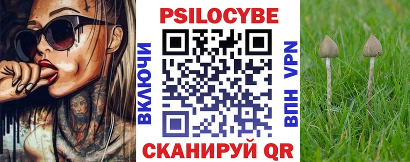 хочу наркоту  Мантурово  Галлюциногенные грибы Cubensis 